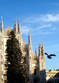 Milano - Duomo - dettaglio 3.jpg