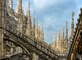Milano - tante guglie per un Duomo.jpg