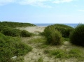 Nettuno - Torre Astura - macchia mediterranea e spiaggia.jpg