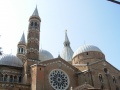 Padova - La Basilica del Santo - Rosone e cupole.jpg