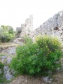 Poggio Catino - Frazione Catino - Le mura del castello (parte) (4).jpg
