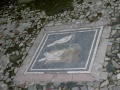 Pompei - Scavi di Pompei - Particolare.jpg