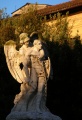 Rieti - monumento ai caduti - all'alba.jpg