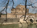 Roma - Castello tra i rami.jpg