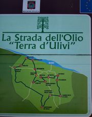 La Strada dell'Olio " Terra d'Ulivi" - Guida Ruvo di Puglia Wiki