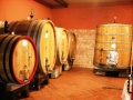 San Damiano d'Asti - Azienda vitivinicola "Ri Da Roca" - La tinaia.jpg