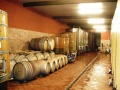 San Damiano d'Asti - Azienda vitivinicola "Ri Da Roca" - La tinaia (1).jpg