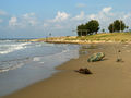 San Nicandro Garganico - Spiaggia - Torre Mileto.jpg