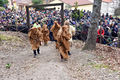 Satriano di Lucania - La Foresta che Cammina 2023 14.jpg
