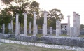 Sepino - Basilica - Parco archeologico di Saepinum-Altilia.jpg