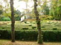 Stra - Il labirinto nel giardino di Villa Pisani.jpg