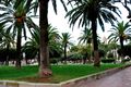 Taranto - Piazza Garibaldi - giardino 2.jpg