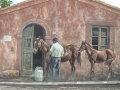 Tinnura - Murales con 2 cavalli in Via Roma - Murales.jpg