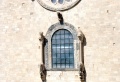 Trani - Cattedrale di Trani - finestrone sotto il rosone.jpg