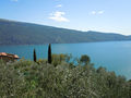 Tremosine - Scorcio del Lago di Garda da Tremosine.jpg