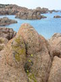 Trinità d'Agultu e Vignola - Isola Rossa - rocce rosa con fiori.jpg