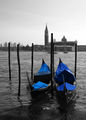 Venezia - Scorcio Laguna.jpg