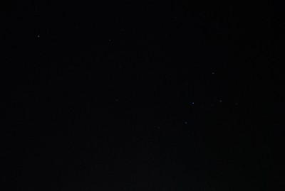 DSC_0166 Cassiopea.jpg