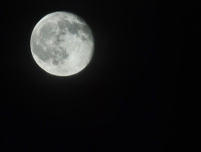 DSC_5949luna.jpg