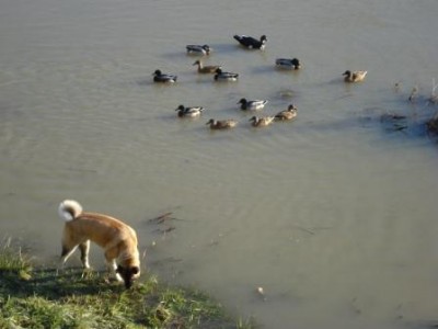 Natale 09 varie 027.JPG