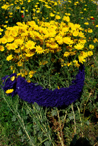 DSC_1638 x Donatella.jpg