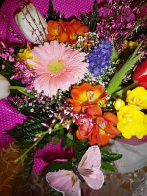 Fiori e farfalla.jpg