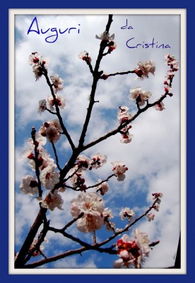 Pasqua da Cristina b 002.jpg