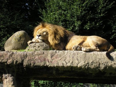 0b2d6dc8-3fc0-48fc-bc1b-bb2a61713bd5 - Copia.JPG