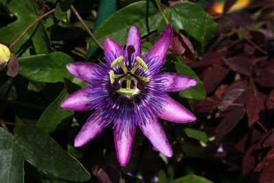 IMG_8903 (Small).JPG