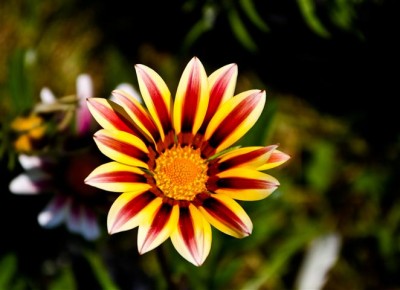 IMG_8876-1 (Small).jpg