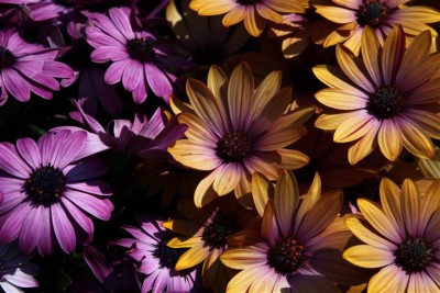 IMG_8885 (Small).JPG