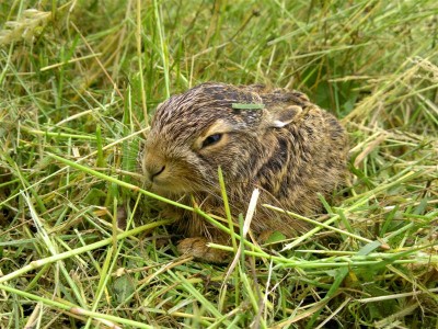 06062011118 (Medium).jpg