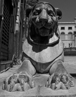 38608-800x591 - Copia.jpg