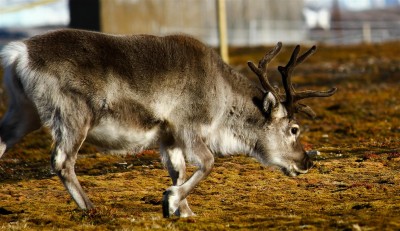 IMG_2305-2 (Medium).jpg