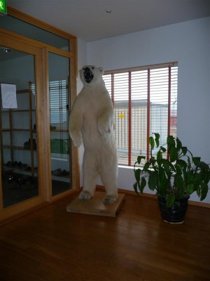 P1060931 (Medium).JPG