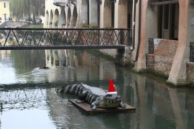 IMG_6135 (Small).JPG