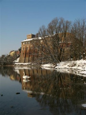 IMG_8413b (Small).jpg