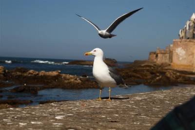 IMG_7914 (Medium).JPG