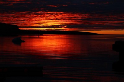 IMG_3821 (Large).JPG