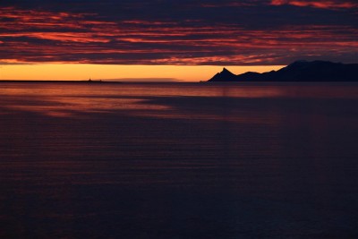 IMG_3818 (Medium).JPG