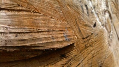 27042011028 (Small).jpg