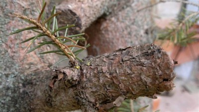 27042011032 (Small).jpg