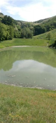 20110510-143506 (Small).jpg