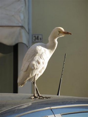 IMG_3374 (Small).JPG