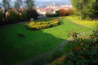 DSC_0082-tiltshift (Small).jpg