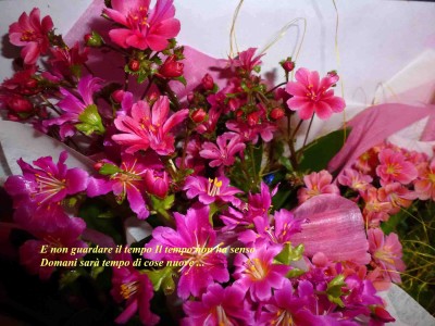 Auguriiii Justina!!!!.jpg