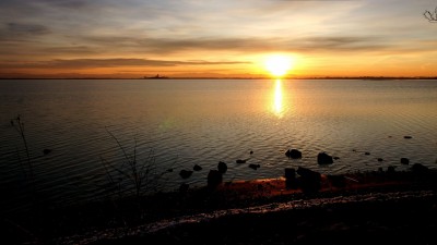 alba 5 gen phpimZvJVAM.jpg