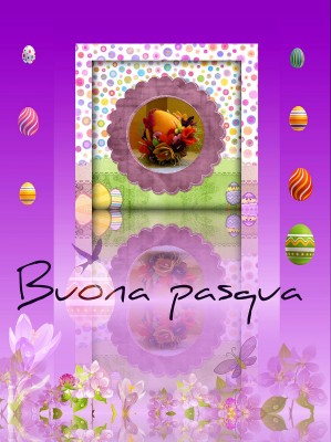 Pasqua viola 04-05-2012 (2).jpg