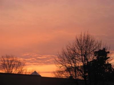 IMG_4137 (Small).JPG