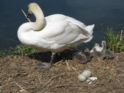 IMG_0163 (Small).JPG